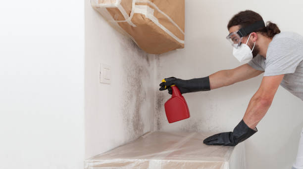 Professional Mold Cleanup technician working in Corolla, NC