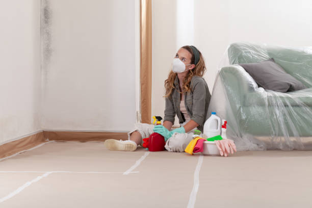 Reliable Mold Cleanup contractor in Corolla, NC by Cheap Mold Removal